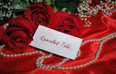 текст открытки к цветам на день рождения подруге. Смотреть фото текст открытки к цветам на день рождения подруге. Смотреть картинку текст открытки к цветам на день рождения подруге. Картинка про текст открытки к цветам на день рождения подруге. Фото текст открытки к цветам на день рождения подруге